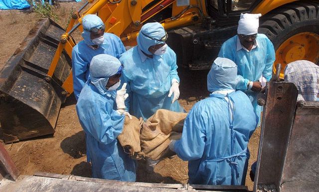 鳥インフルエンザ