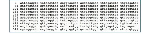 新型コロナウイルスの遺伝情報の一部