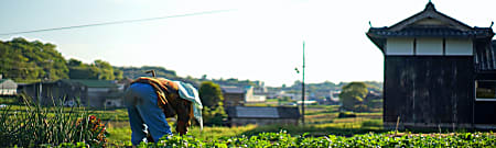 自宅を売って1000万円で「美しい農村」に引っ越し、夫婦は崩壊した（週刊現代） @gendai_biz